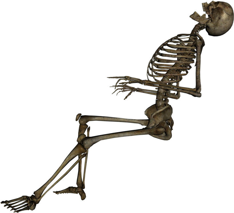 Free Png Skeleton, Skull Png Images Transparent - Skeleton Png (850x638), Png Download