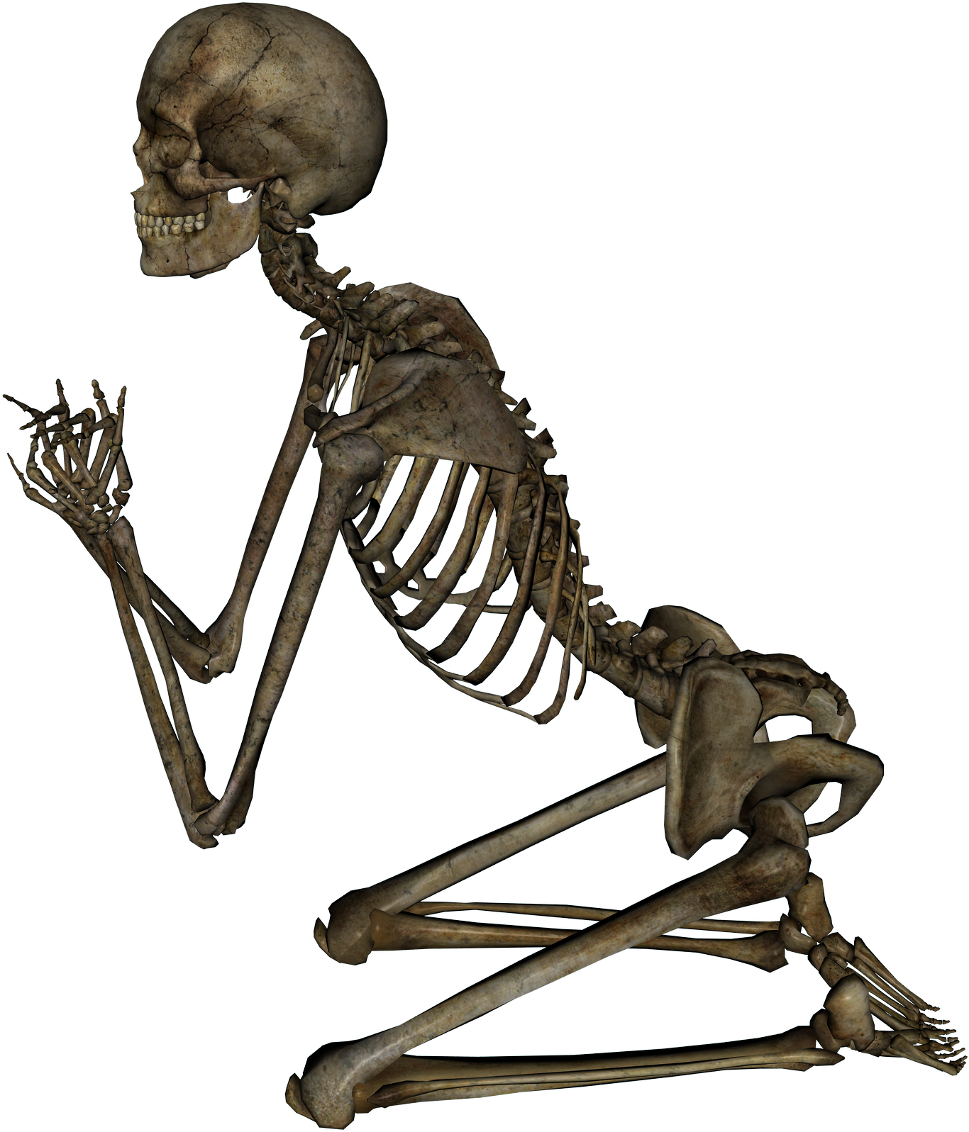 Skeleton (2400x1800), Png Download