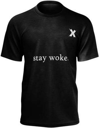 Áo Thun Cá Sấu (480x480), Png Download