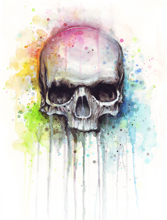 Watercolour Skull (532x700), Png Download