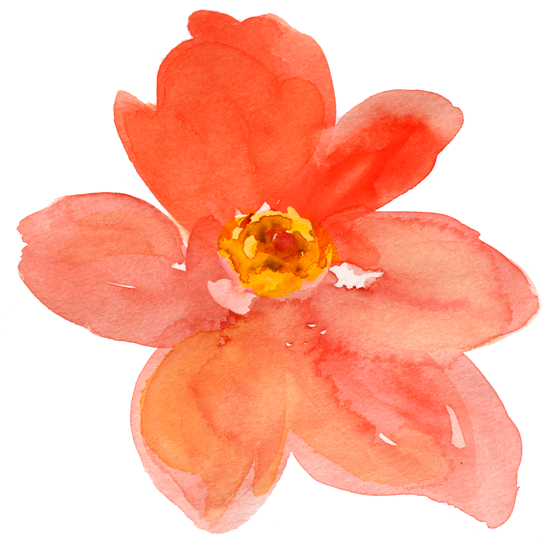 Free Fall Watercolor Floral Clip Art- So Pretty - Orange Flower Watercolor Png (1872x1811), Png Download