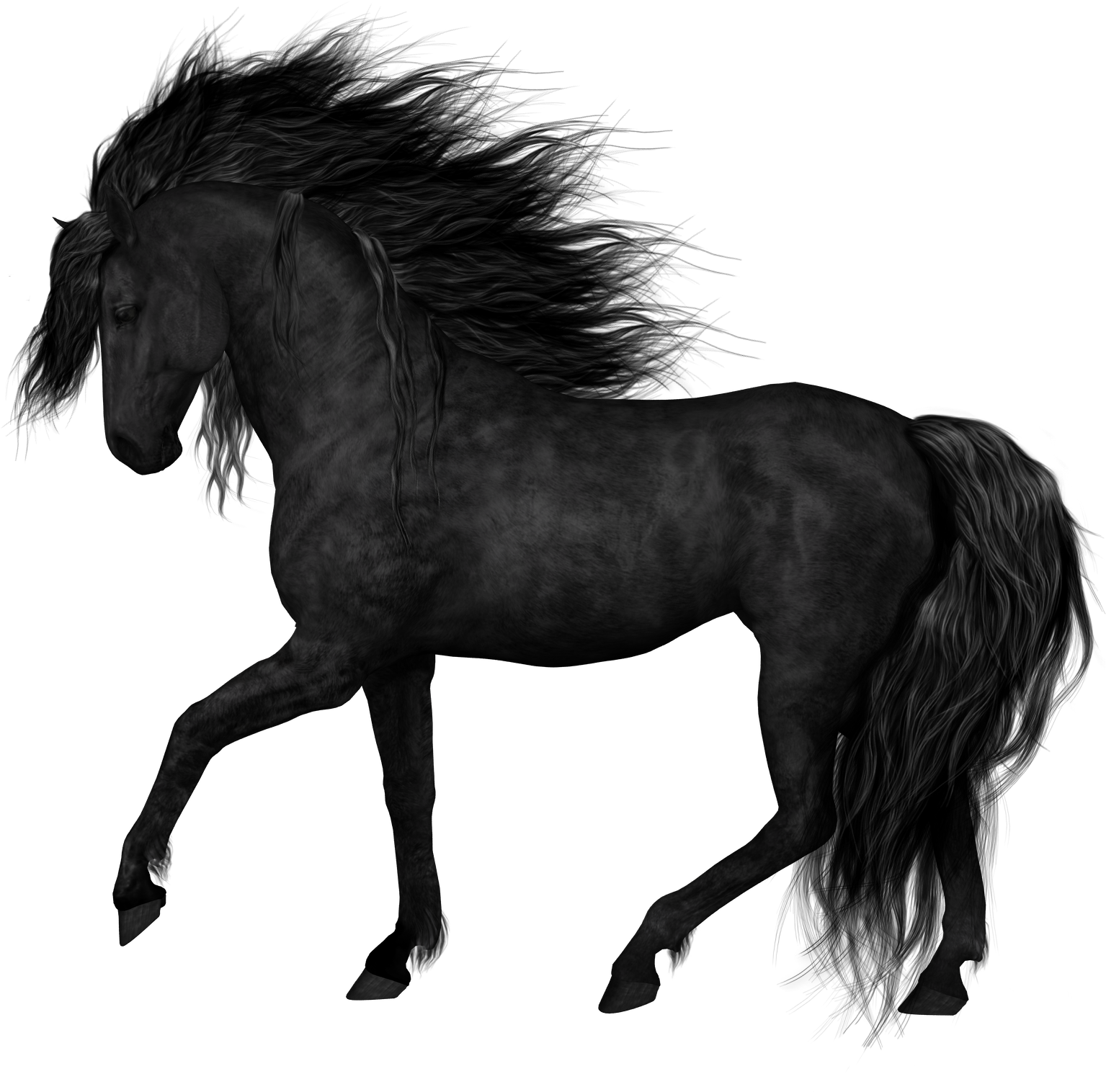 Free Icons Png - Black Horse Png (1594x1555), Png Download
