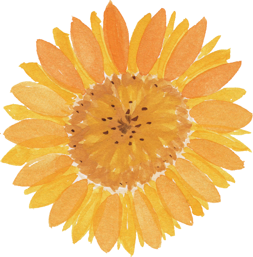Free Download - Water Color Sunflower Png (962x977), Png Download