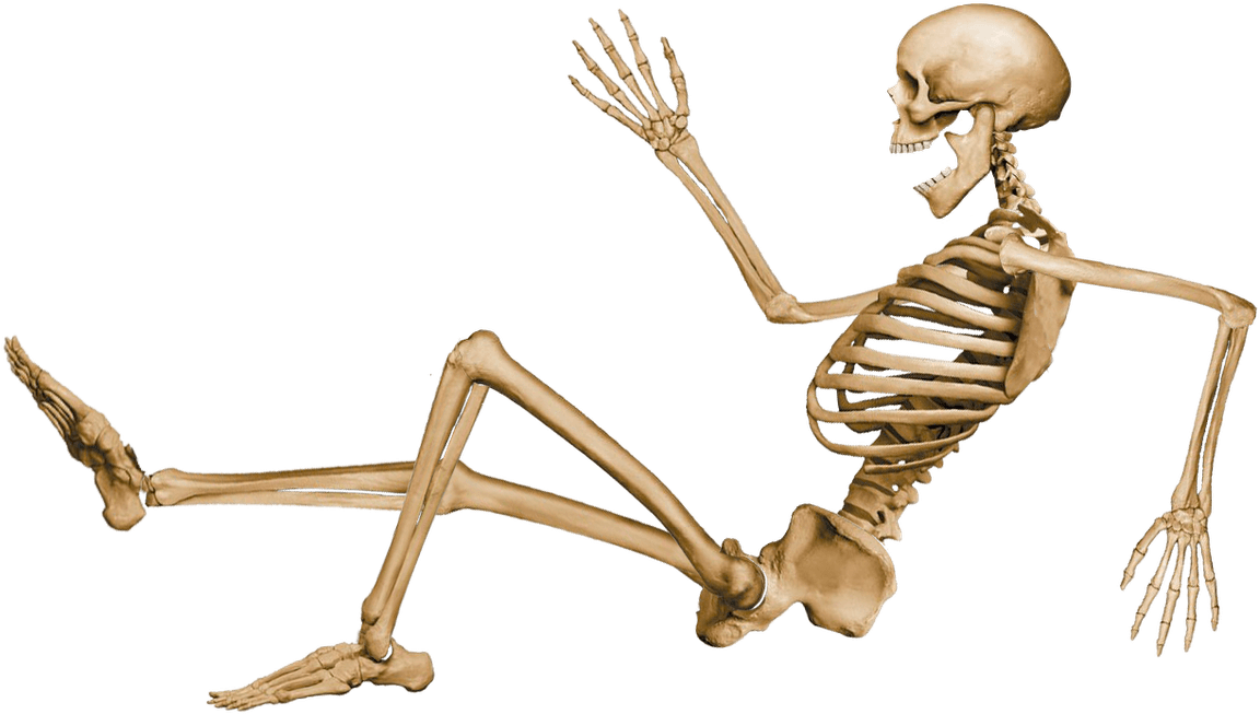 Skeleton Sitting - Skeleton Sitting Down Png (1600x1242), Png Download
