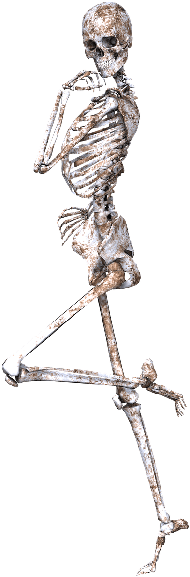 Download - Skeleton With Flowers (1034x1280), Png Download