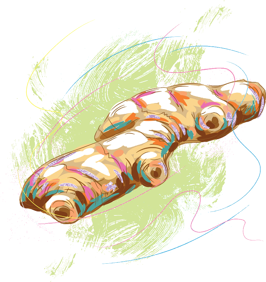Clipart Library Download Spice Illustration Hand Painted - Vector Graphics (1000x1000), Png Download