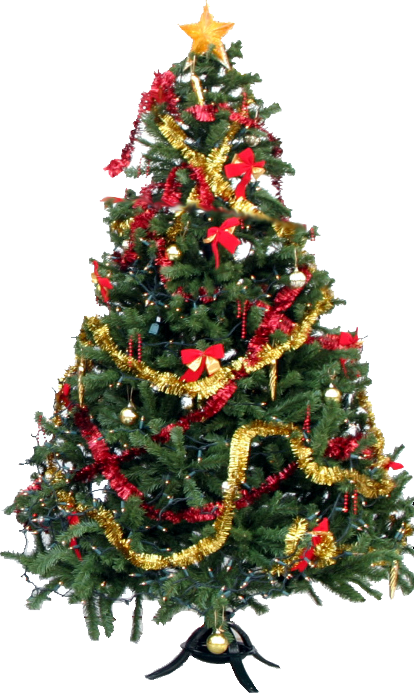 Download Christmas Tree Not Looking Forward To The Holidays Png Image With No Background Pngkey Com