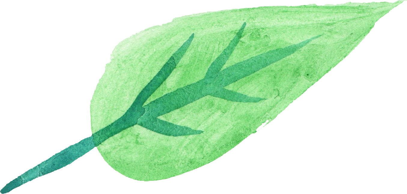 Transparent Watercolor Green - Transparent Green Watercolor (1355x646), Png Download