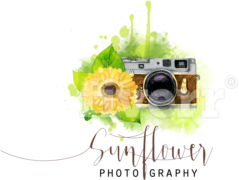 Illustration (1200x818), Png Download