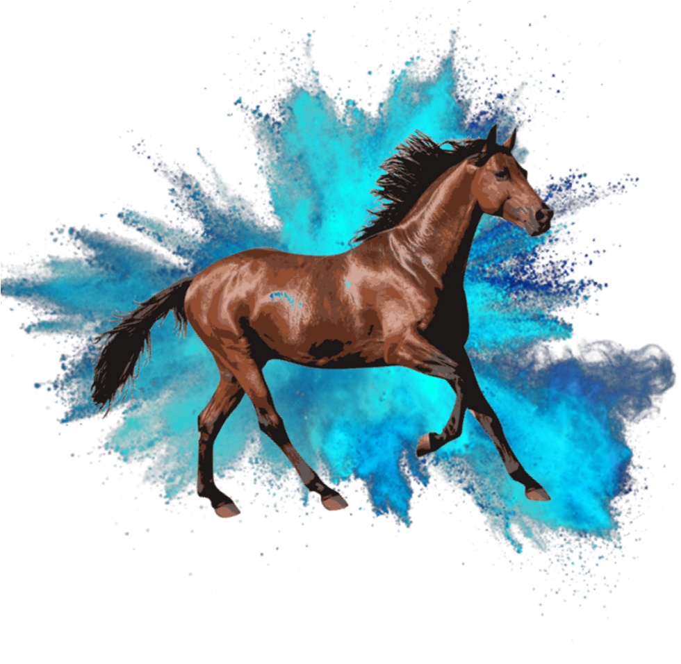 " Horses Need Patience - Picsart Photo Studio (1024x1024), Png Download