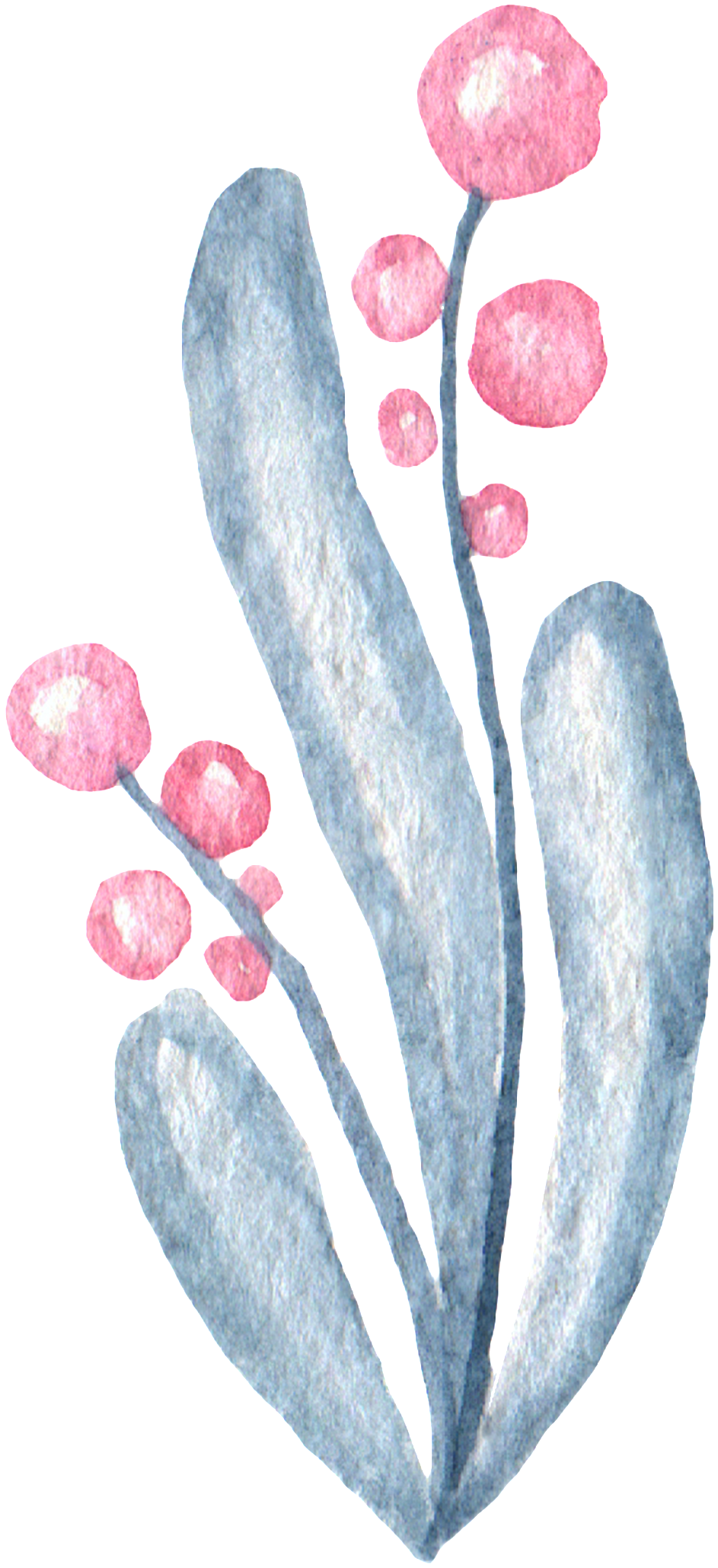 Hand Painted Plant Stick Figure Watercolor Transparent - 北歐 手繪 風 (1024x2142), Png Download