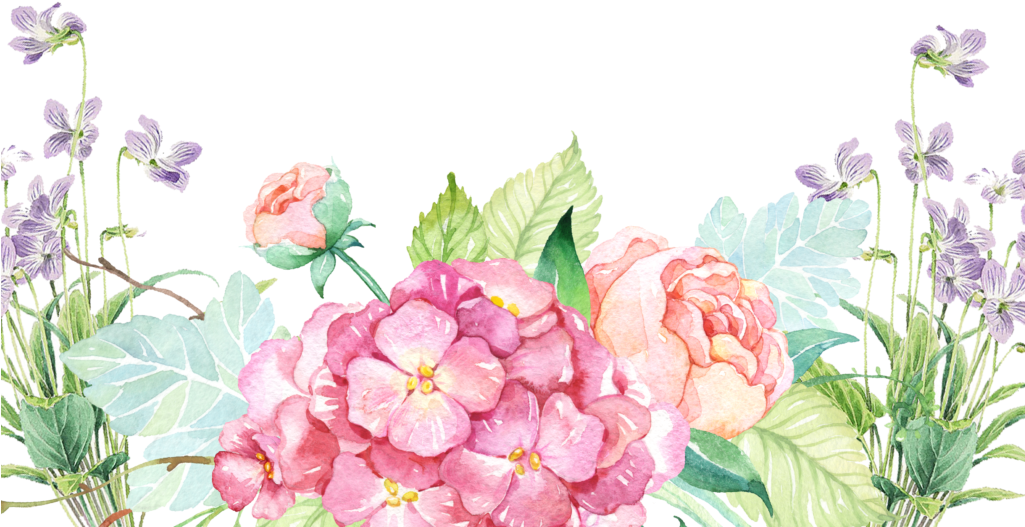 Free Watercolor Skulls And Image Free - Bridesmaid Jewelry Set Blush Crystal Earrings, Bridesmaid (1024x597), Png Download