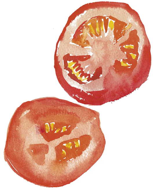 Drawing Watercolor Painting Art Illustration - Tomato Peach Drawing Watercolor (564x780), Png Download