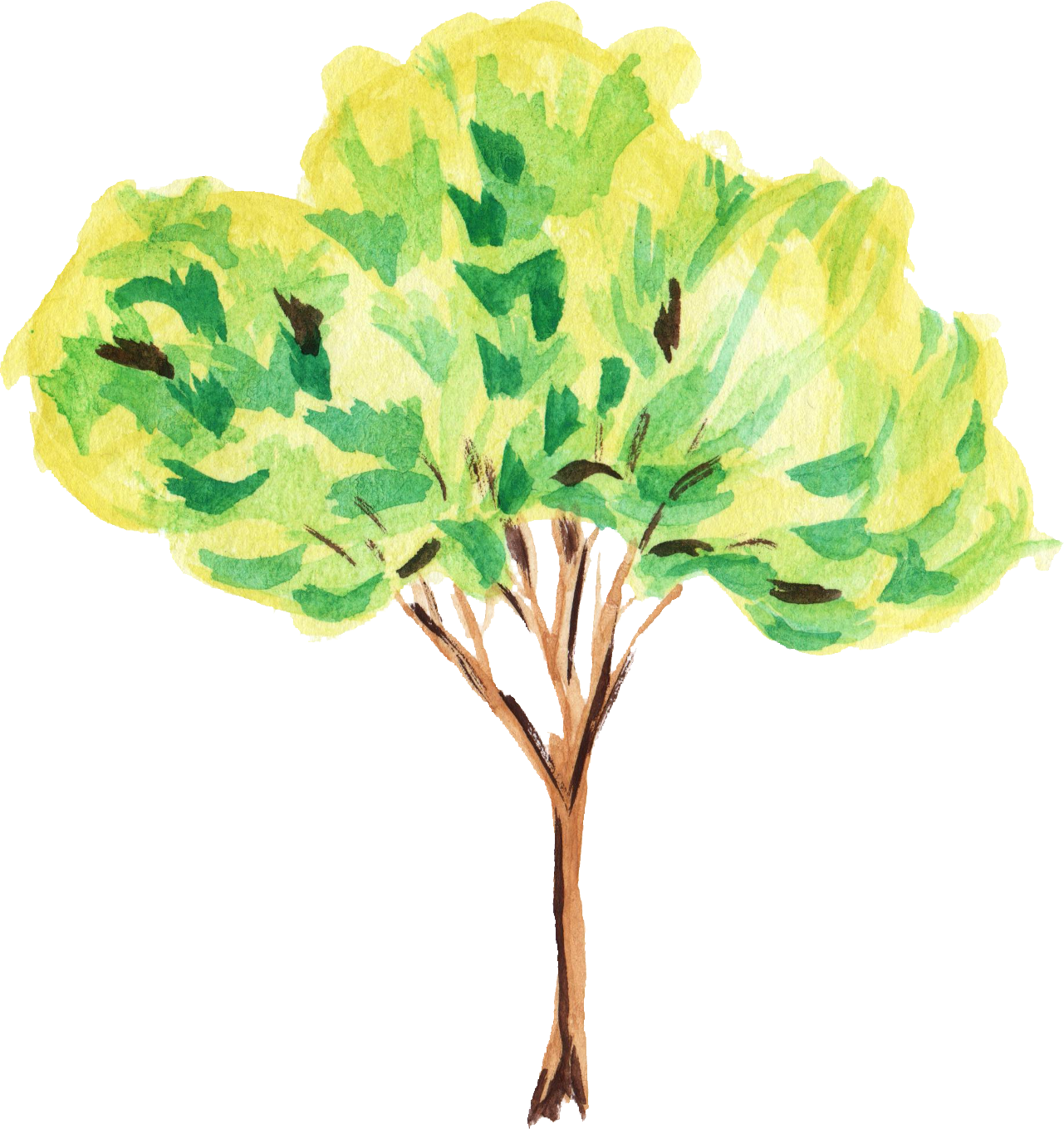 Drawing Tree Crayon - Plant Watercolor Png Free (1281x1359), Png Download