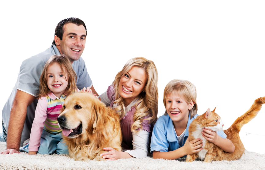 South Howard Animal Clinic Carpet Cleaning Family (865x555), Png Download