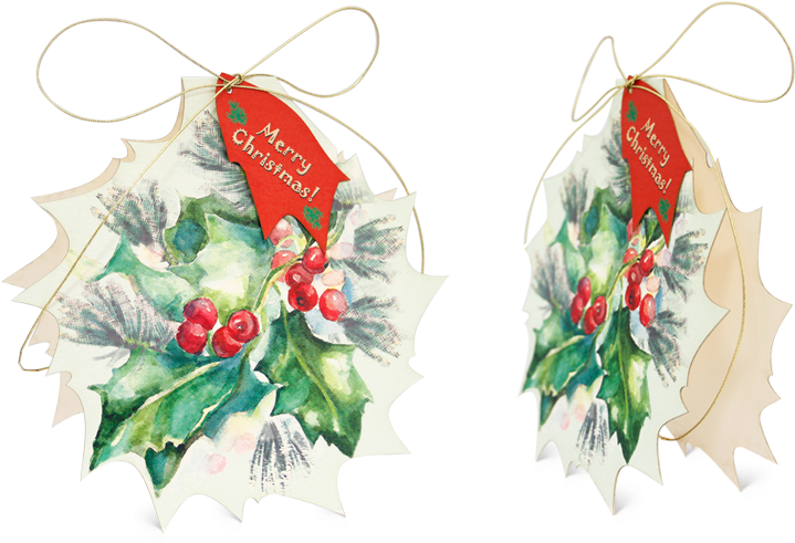 Earrings (950x496), Png Download