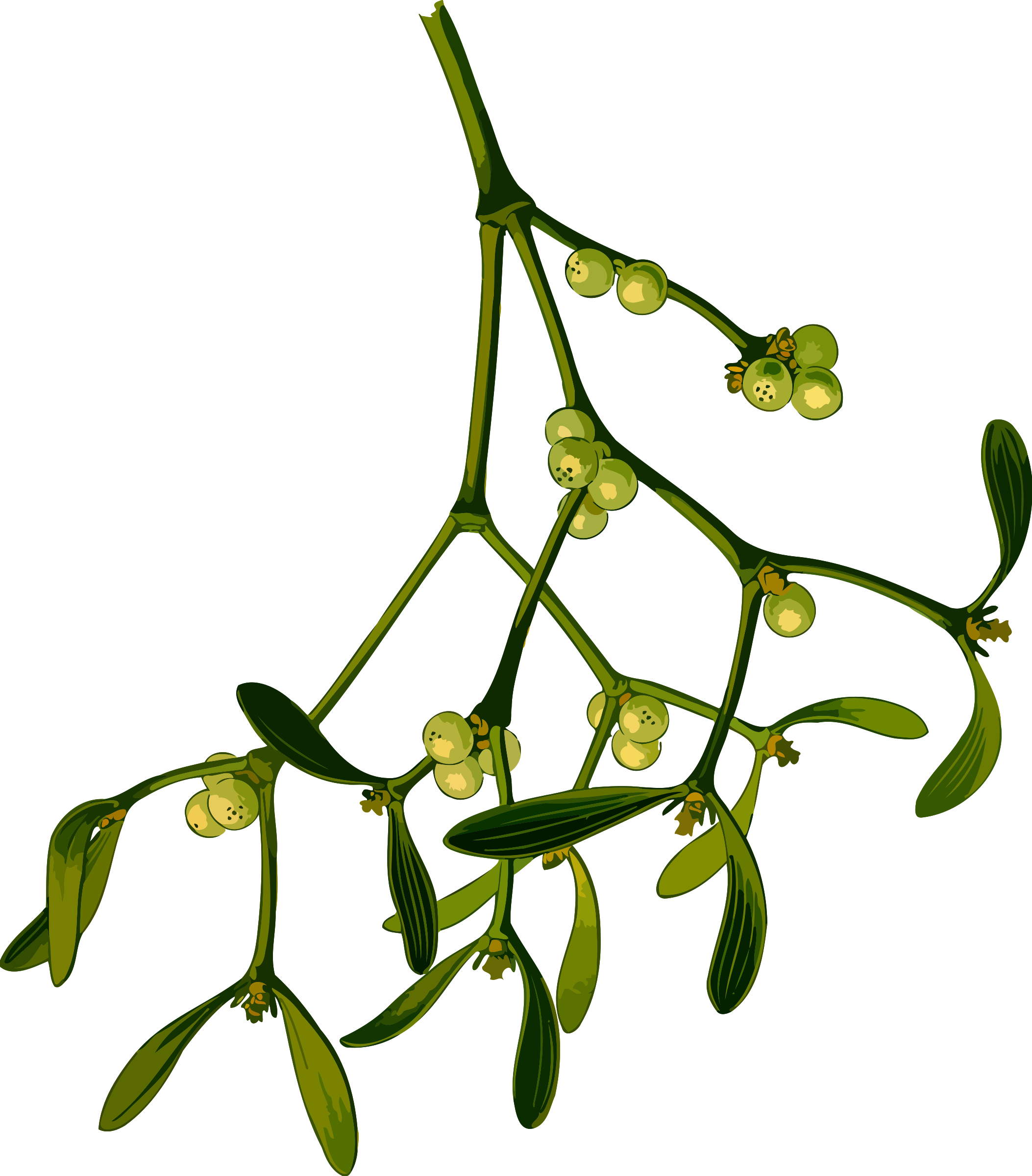 Christmas Mistletoe Computer Icons Vintage Christmas - Clipart Mistletoe (658x750), Png Download
