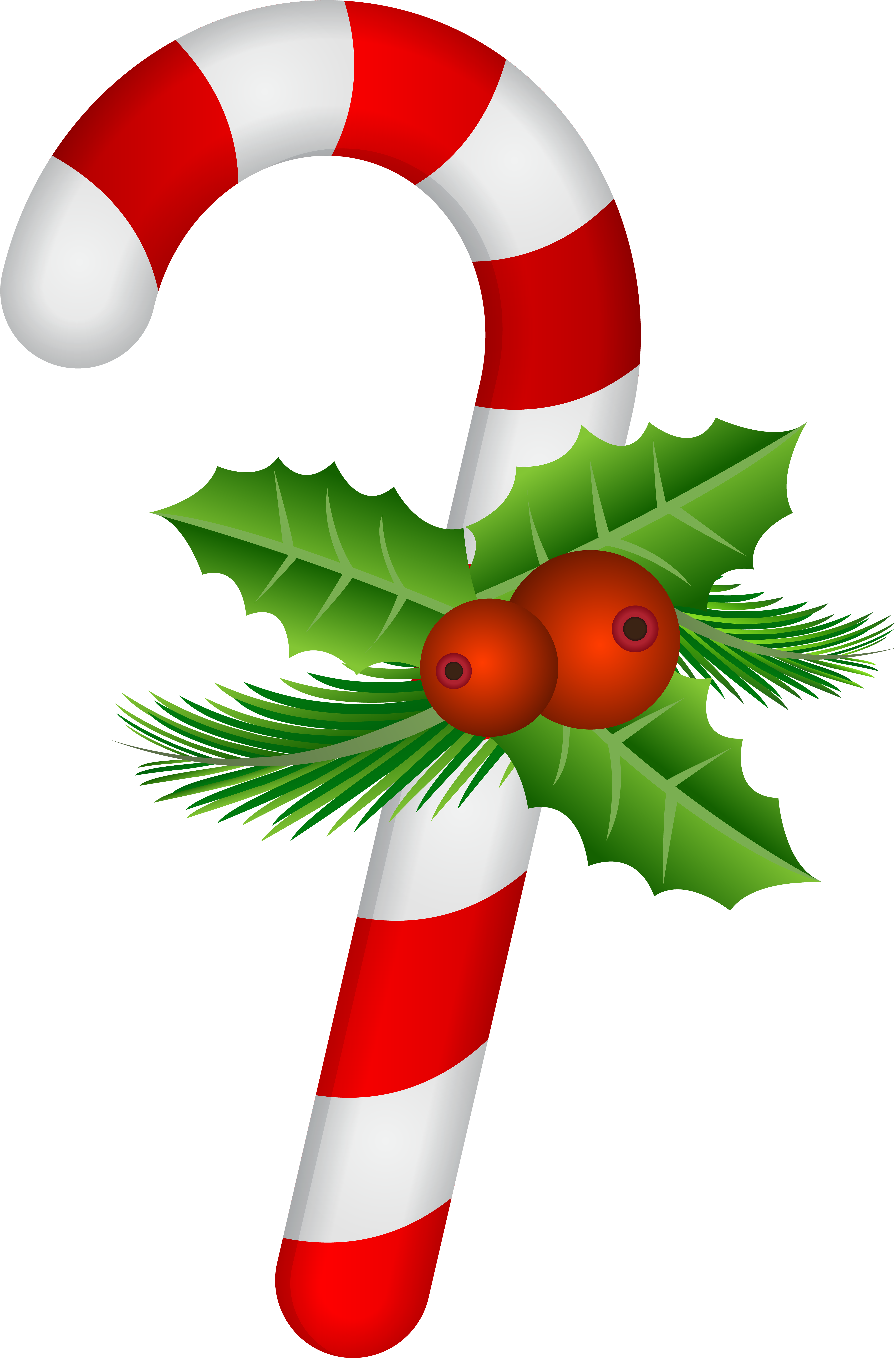 Graphic Royalty Free Free Candy Cane Clipart - Candy Cane With Holly (5277x8000), Png Download