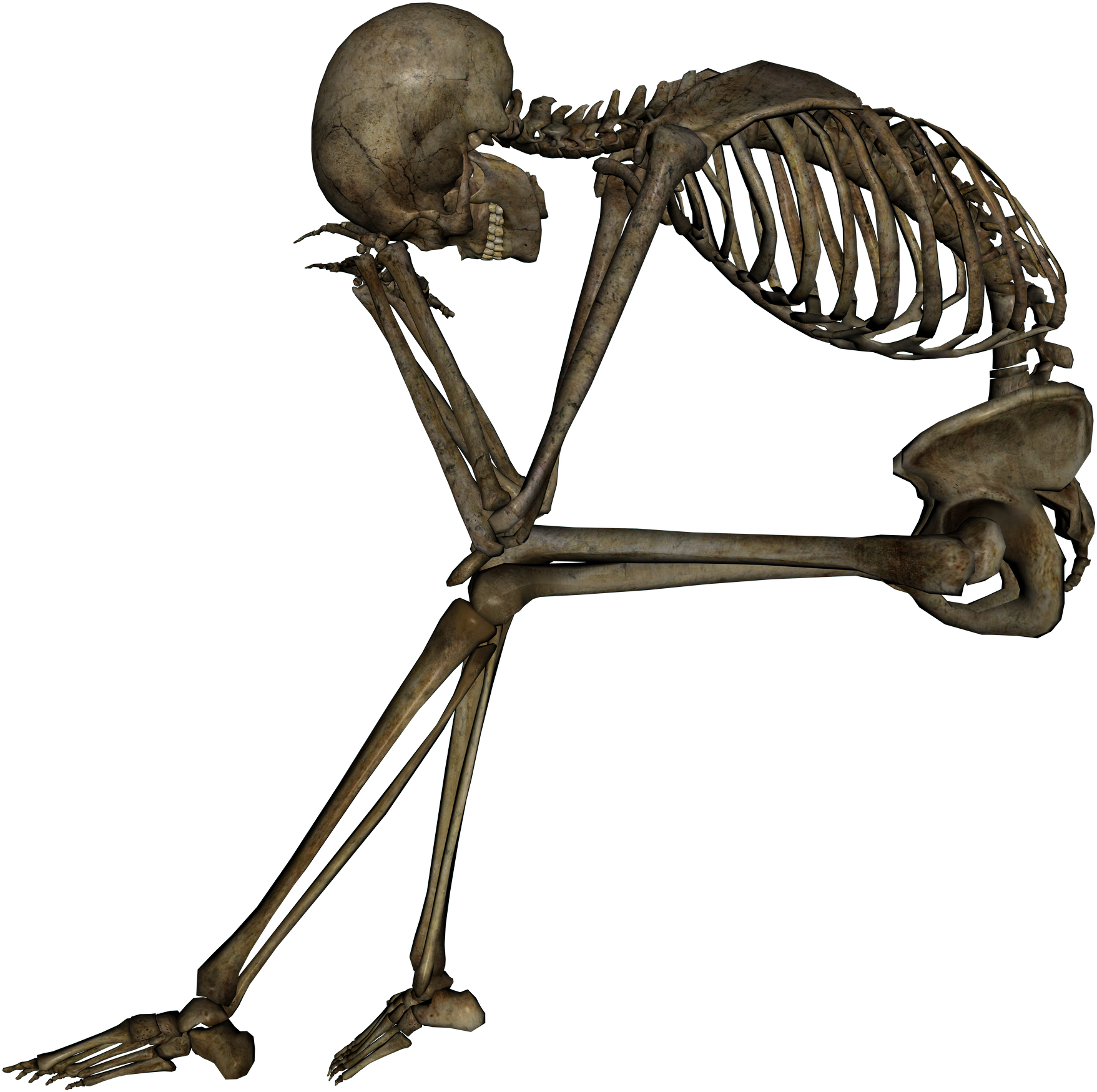 Skeleton Png - Meme Do Otaco Fedido (2400x1800), Png Download