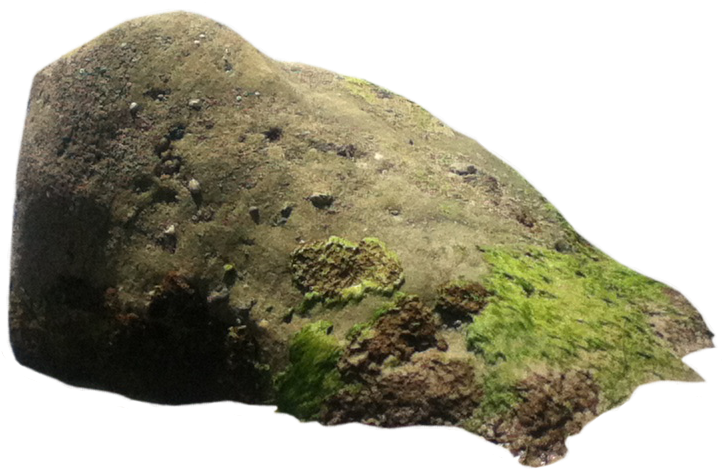 Rock Png Hd - Rock Transparent (960x720), Png Download