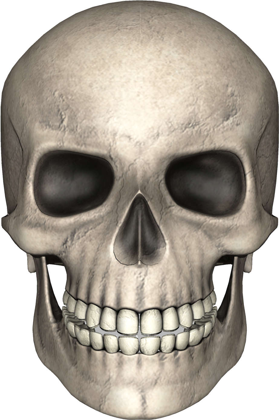 Download Skull Png Image Skull Png PNG Image with No Background