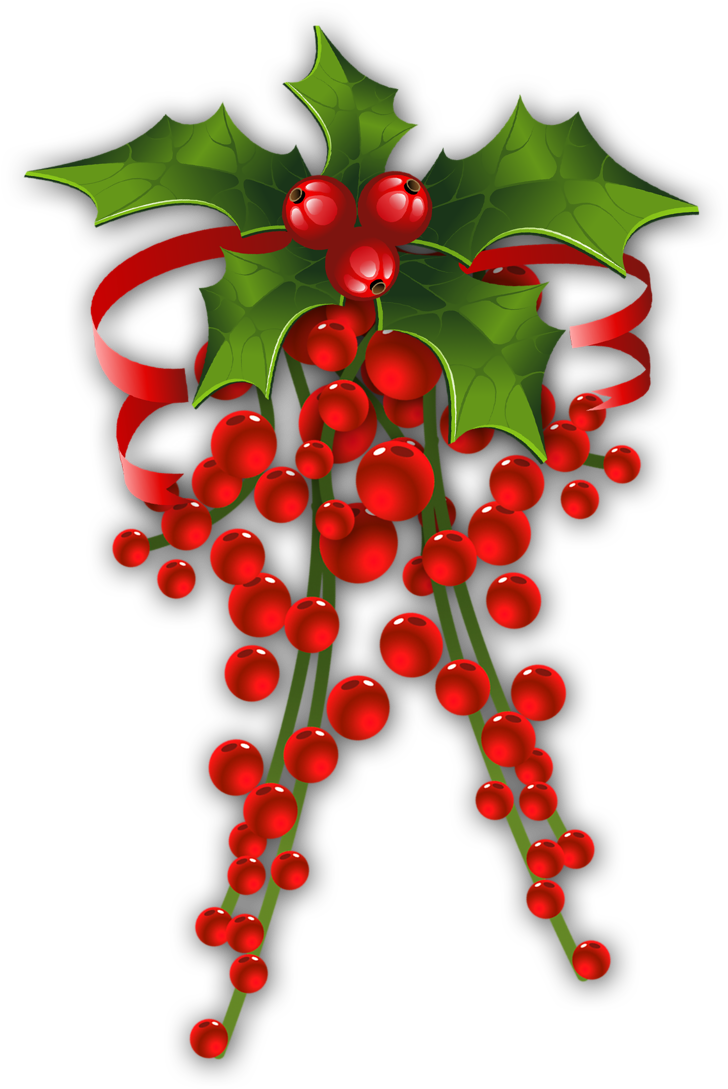 Mistletoe Decor - Transparent Mistle Toe (403x600), Png Download