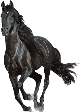 Horse Png Download - Beautiful Horses Running (328x400), Png Download