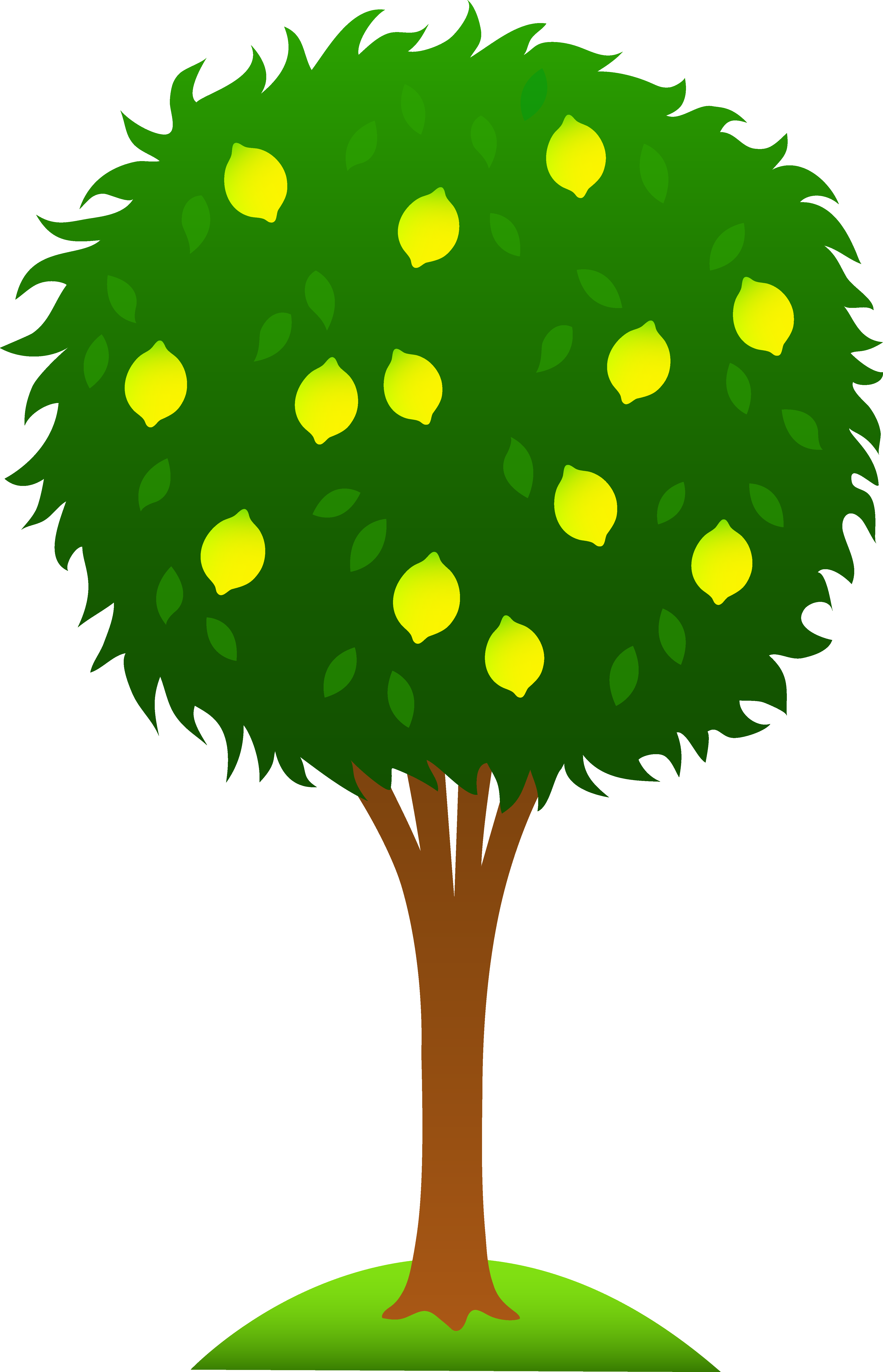 Cartoon Tree Clipart Pinterest - Lemon Tree Clip Art (4325x6720), Png Download