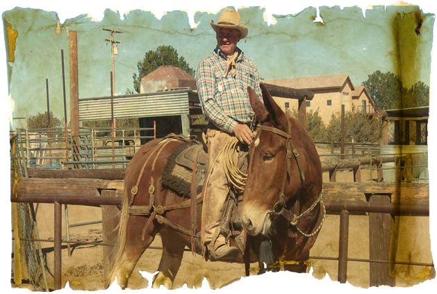 Sorrel (640x457), Png Download