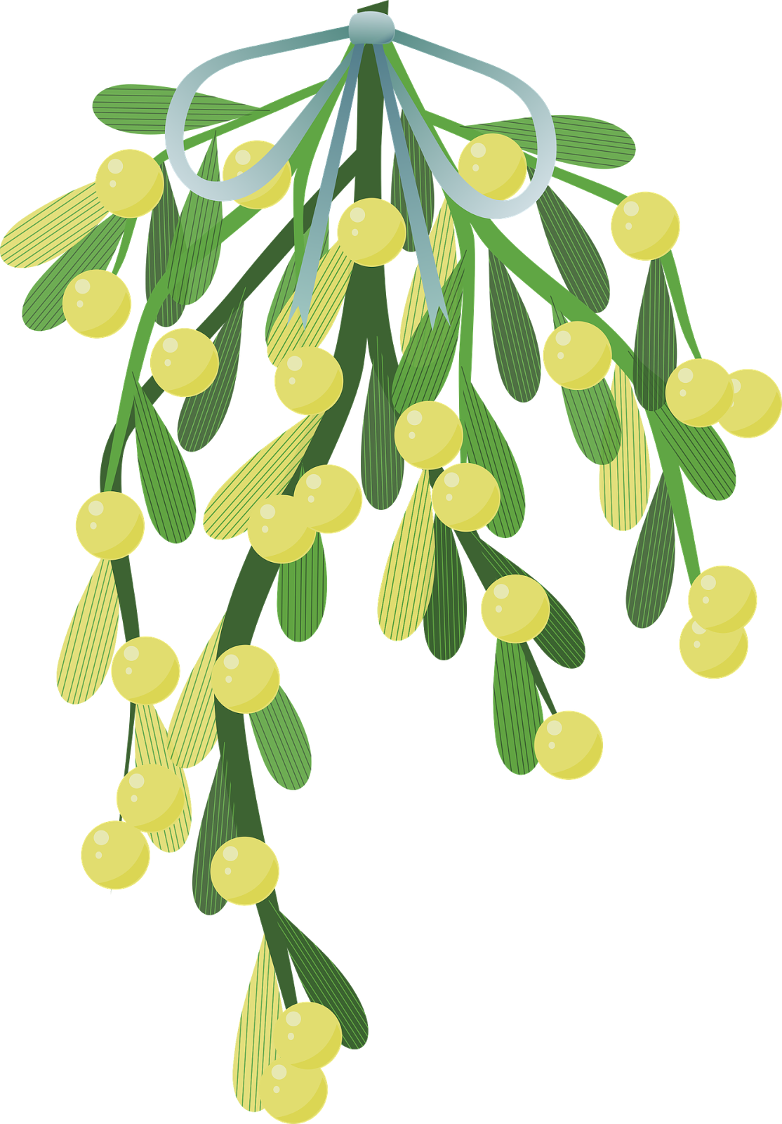 Wishbone Mistletoe Happy New Year Glückliches Neujahr - Mistletoe Illustration Png (1114x1600), Png Download
