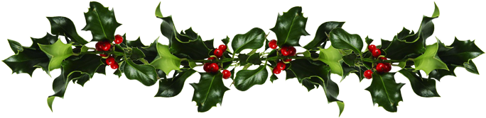 Holly And Mistletoe - Mistletoe And Holly Png (720x200), Png Download