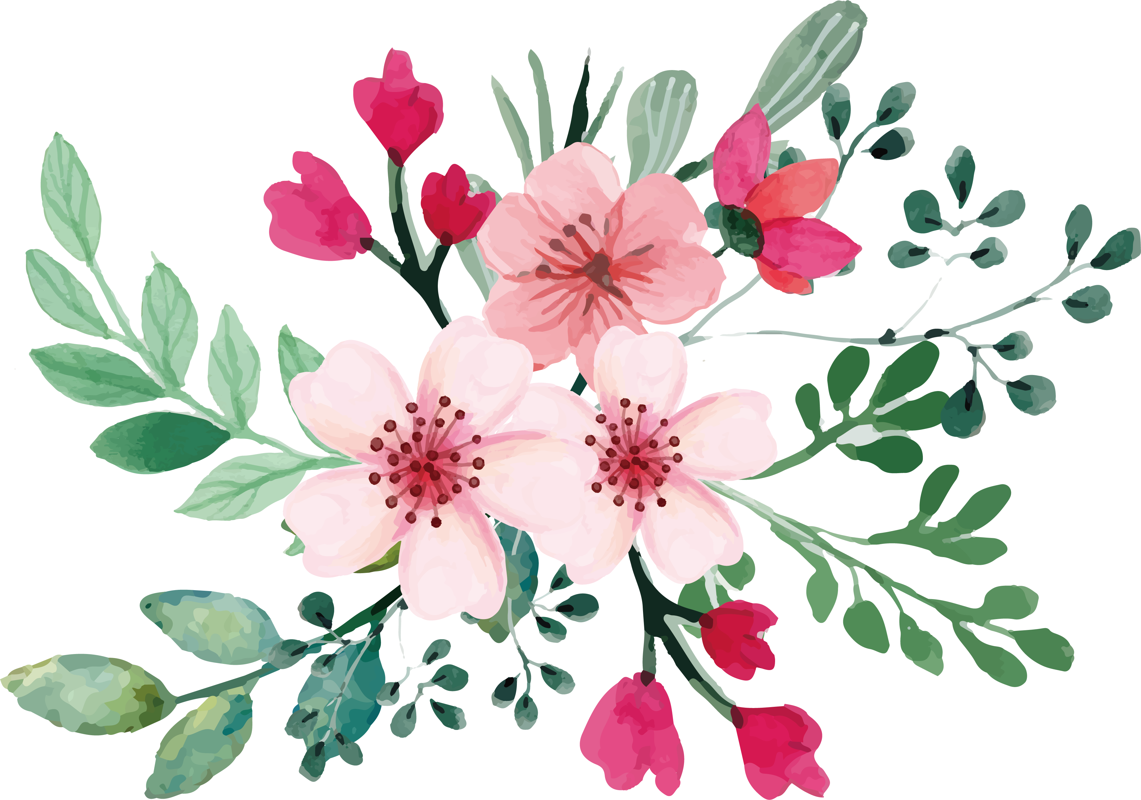 Romantic Watercolor Cherry Blossom Bouquet - Watercolor Flower Svg (3698x2592), Png Download