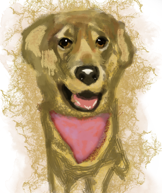 Good Boy, Digital - Chesapeake Bay Retriever (560x668), Png Download