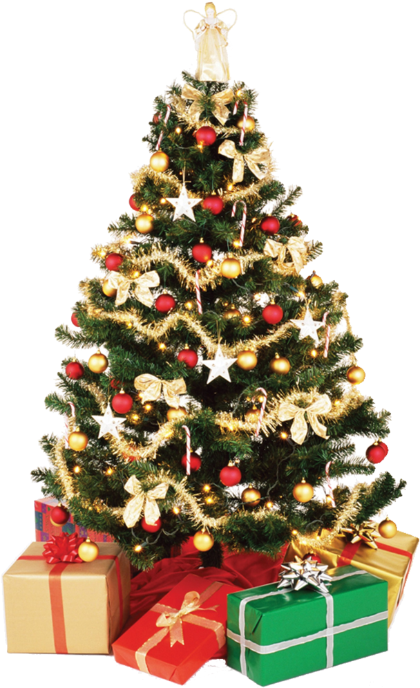 Christmas Tree Png - Small Christmas Tree Png (1000x1067), Png Download