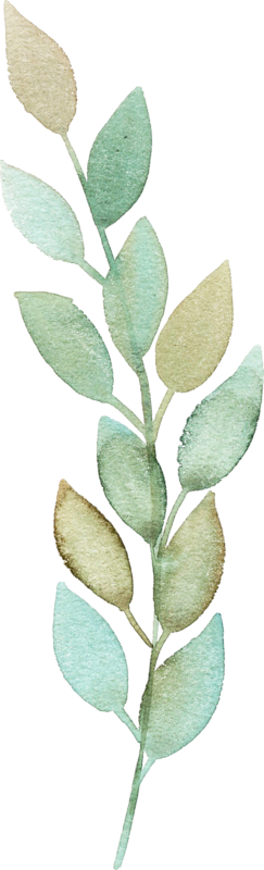 Фото, Автор ✿lili@ ✿ На Яндекс - Cute Bay Leaf Drawing Png (243x800), Png Download