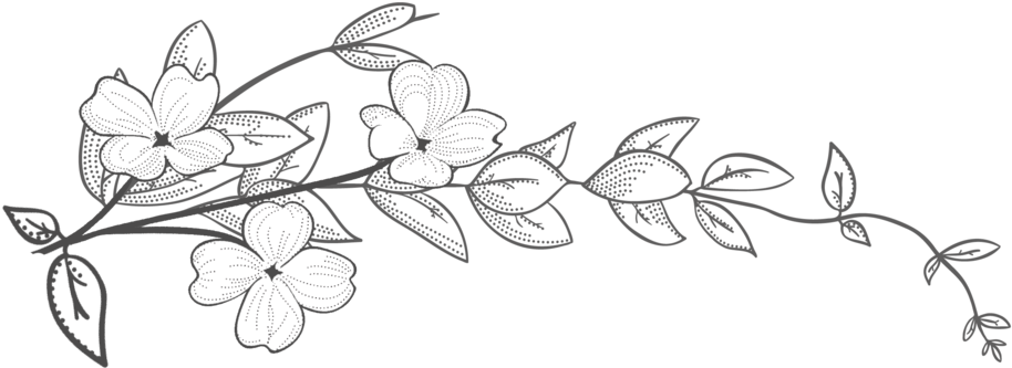 Logo9 - Portable Network Graphics (1000x366), Png Download