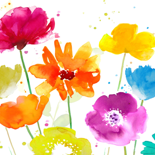 Daisies Drawing Watercolour - Watercolor Painting (600x600), Png Download