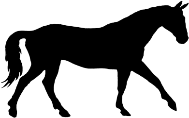 Horse Silhouette Png (409x262), Png Download