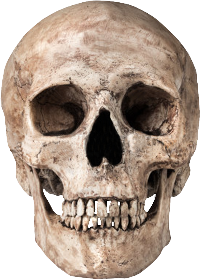 Skull Png Image - World Golf Championships Mexico (788x1000), Png Download