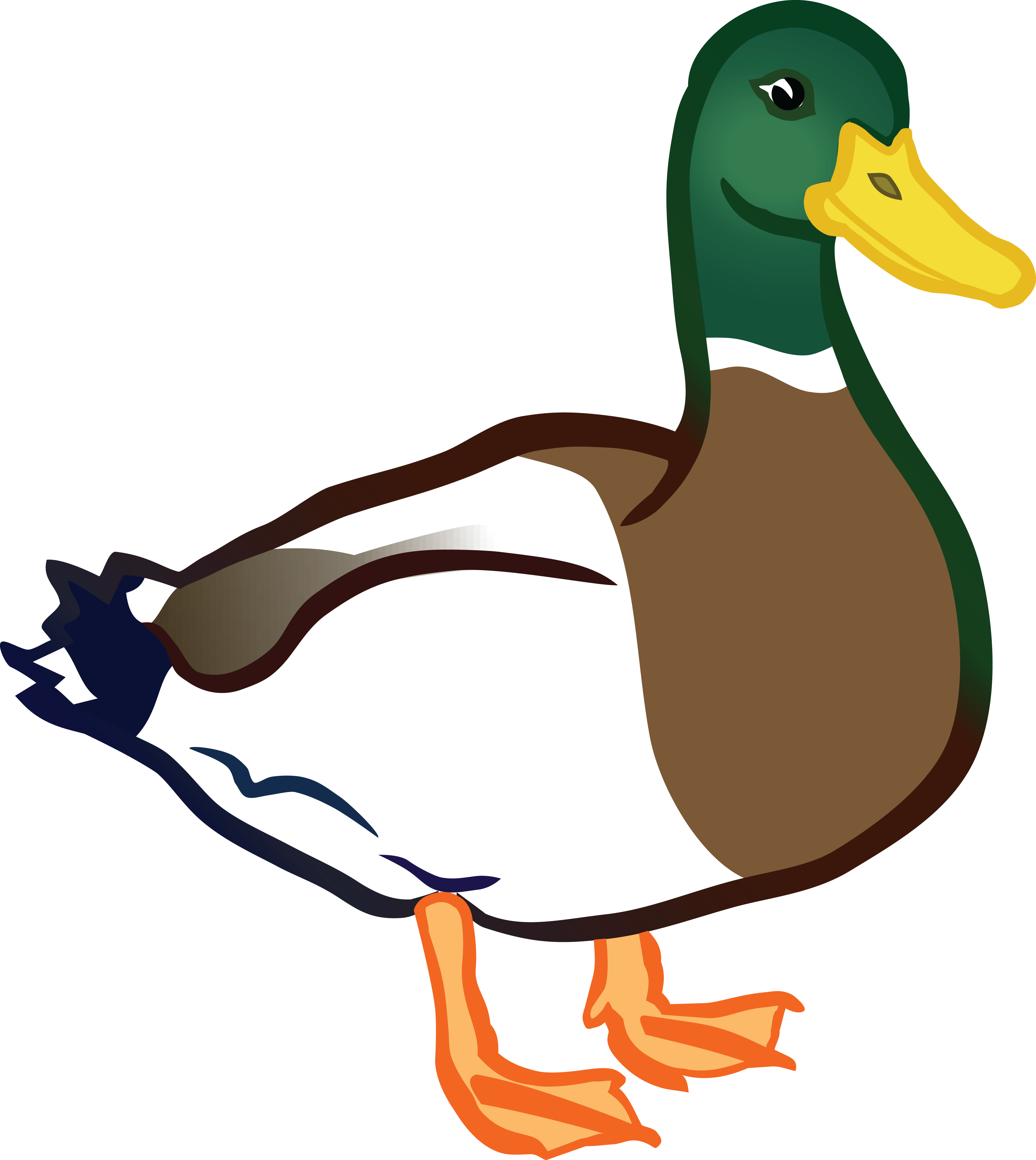 Clip Art Of Ducks Images On Page - Duck Clipart (4000x4479), Png Download