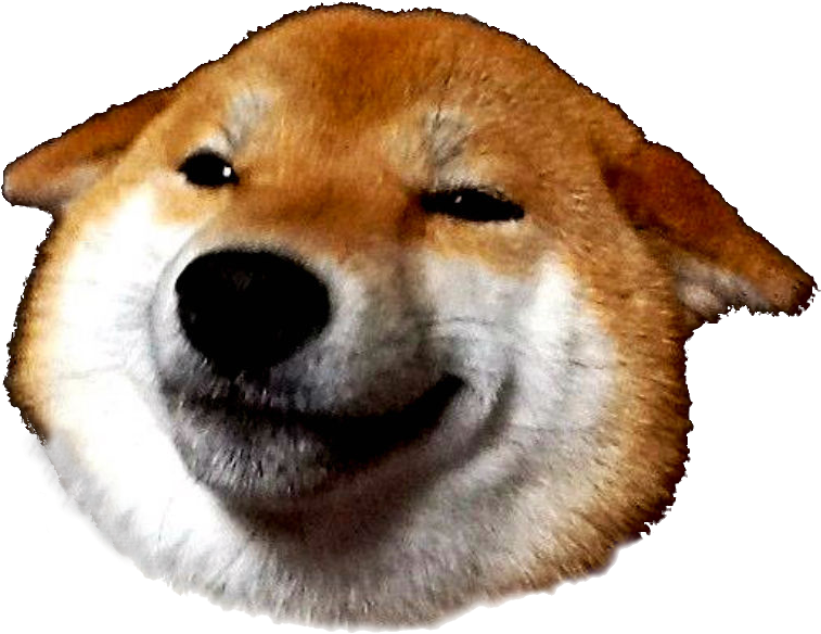 Kabosu Head Smile - Shiba Inu Face Png (864x631), Png Download