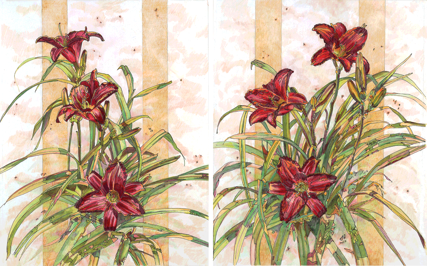 Red Daylilies I And Ii - Bromelia (1443x900), Png Download