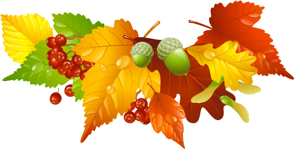 Autumn Leaves And Acorns Decor Png Picture - Thanksgiving Wreath Clip Art (1263x702), Png Download