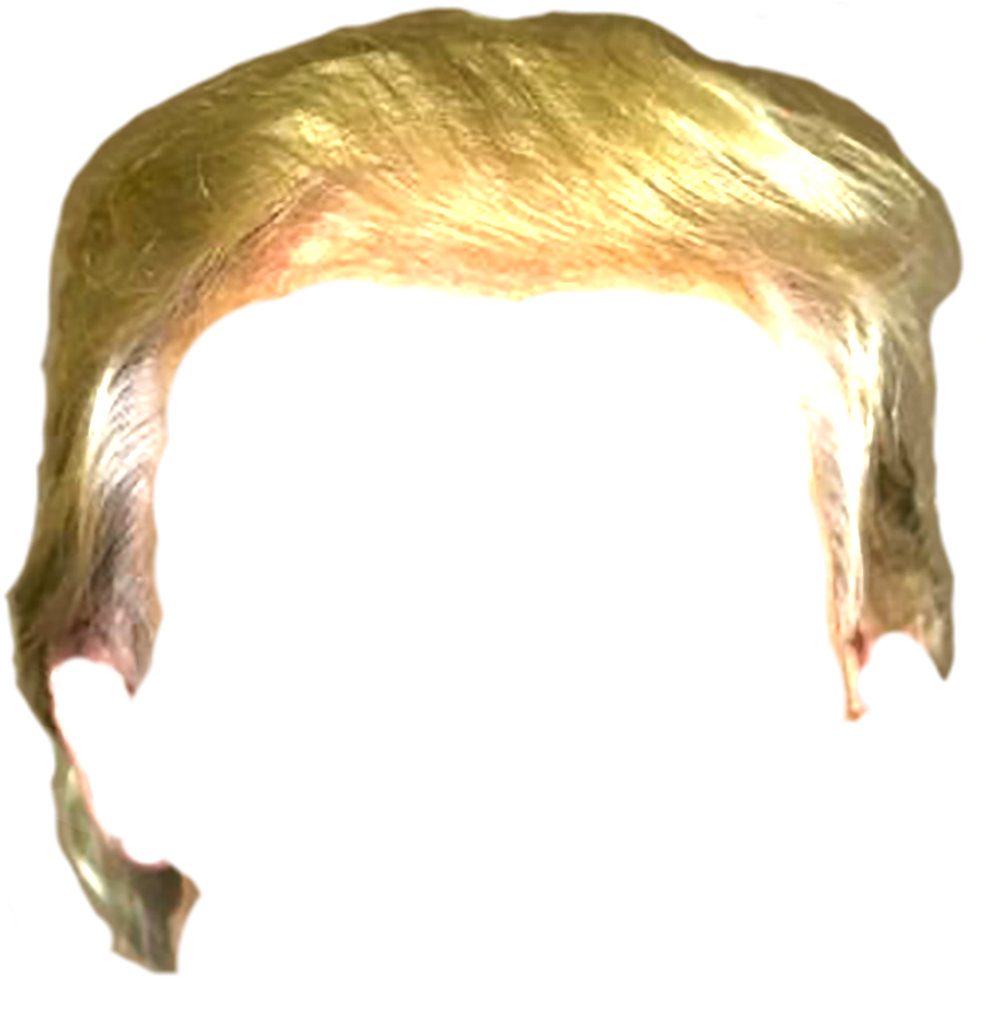 Download Trump Hair Png - Trump Wig Png PNG Image with No Background -  