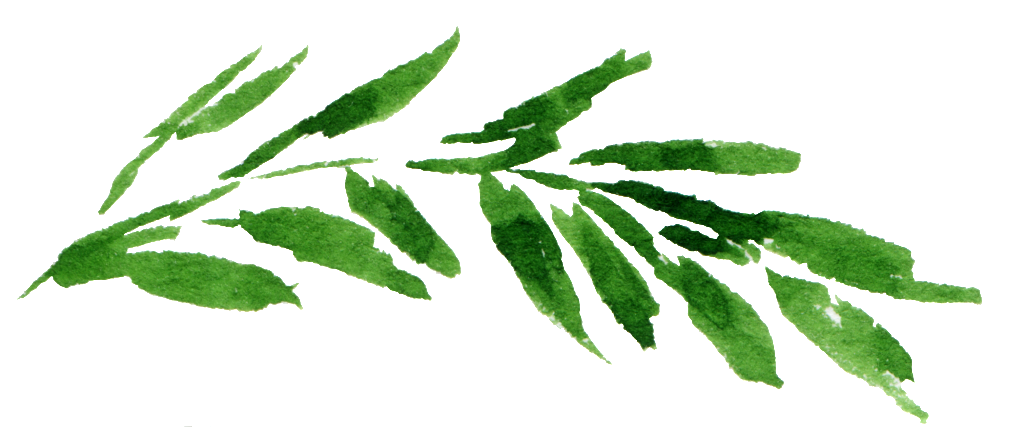 This Graphics Is Watercolor Leaf Png About Watercolor, - Boho Fabric - 8" Woodland Fox Green - Green Custom (1024x432), Png Download