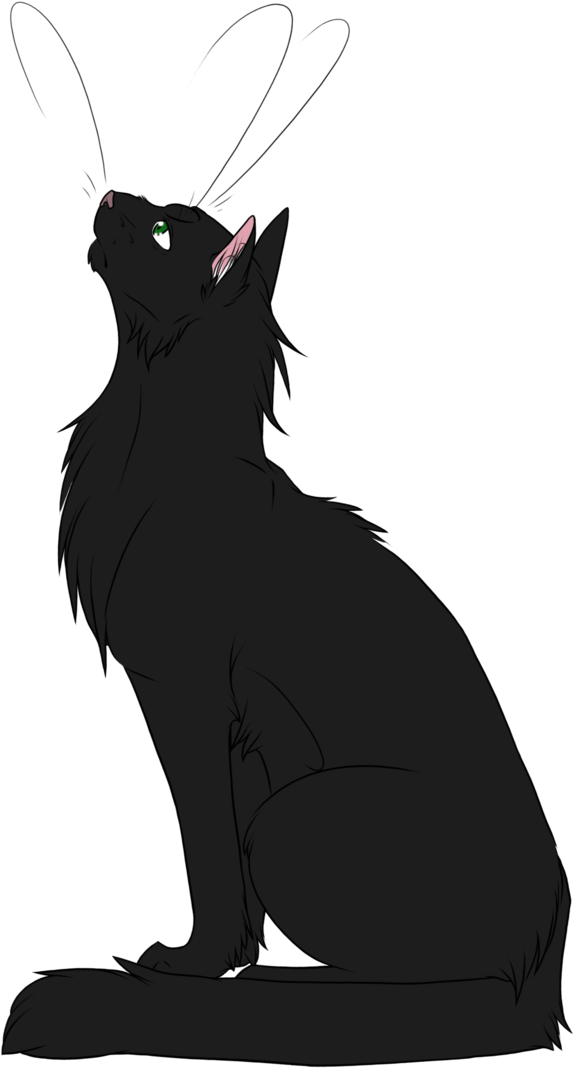 Vector Cat Watercolor - Warrior Cats Deviantart Hollyleaf (738x1082), Png Download