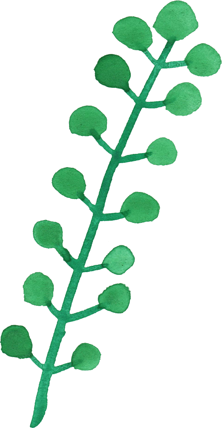 Transparent Leaves Watercolor - Watercolor Leaves Png Free (762x1467), Png Download