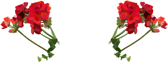 Gucci Gift - Gucci Png (600x278), Png Download