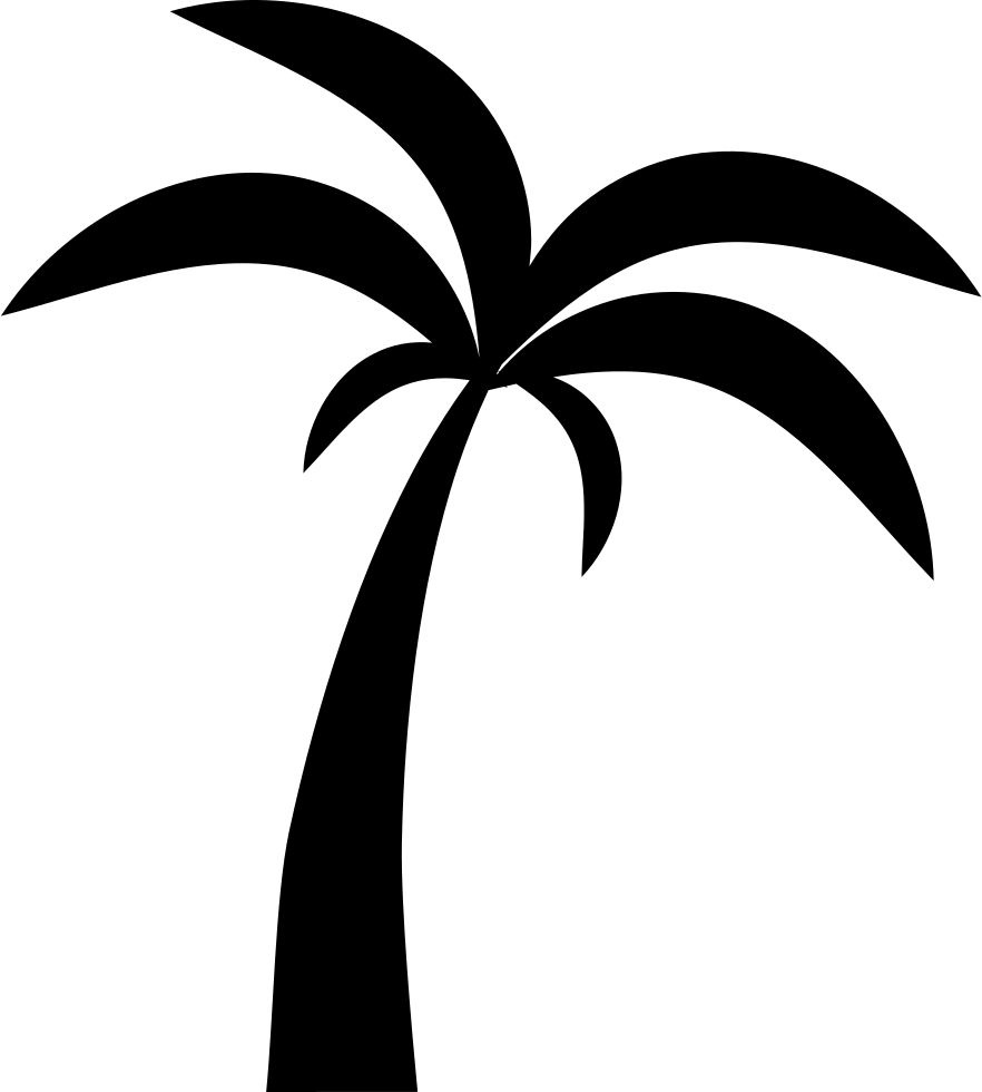 Clip Free Download Palms Vector Palmyra Tree - Palm Tree Icon Png (882x980), Png Download