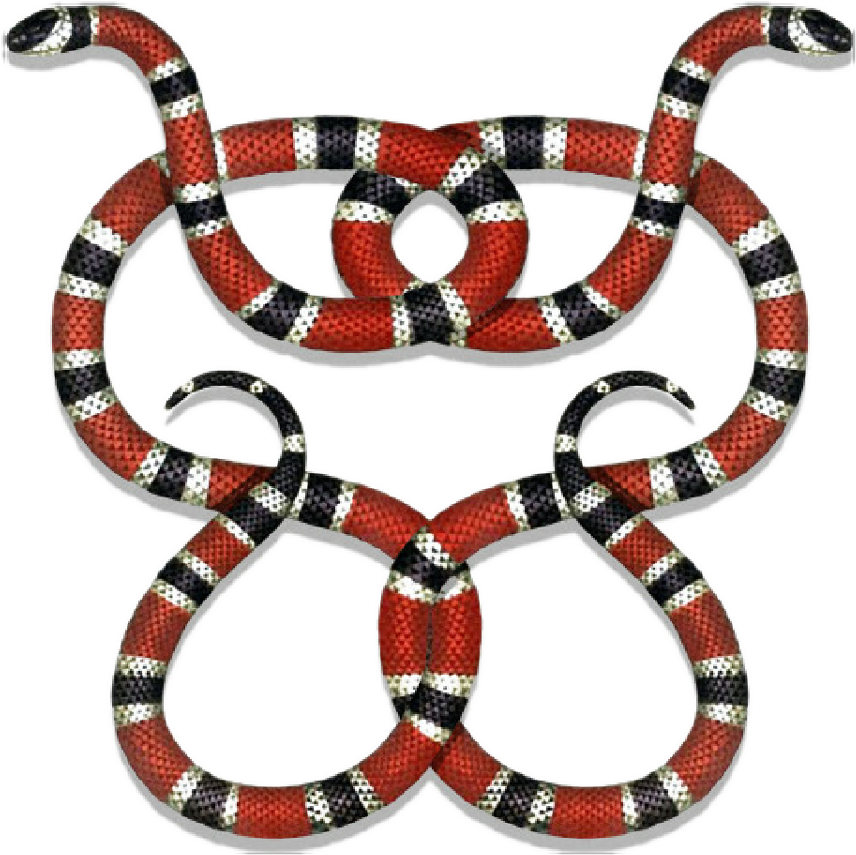 Gucci Guccigang Snakes Guccilogo Logo Stickerpng - Coral Snake Painting (1024x1024), Png Download